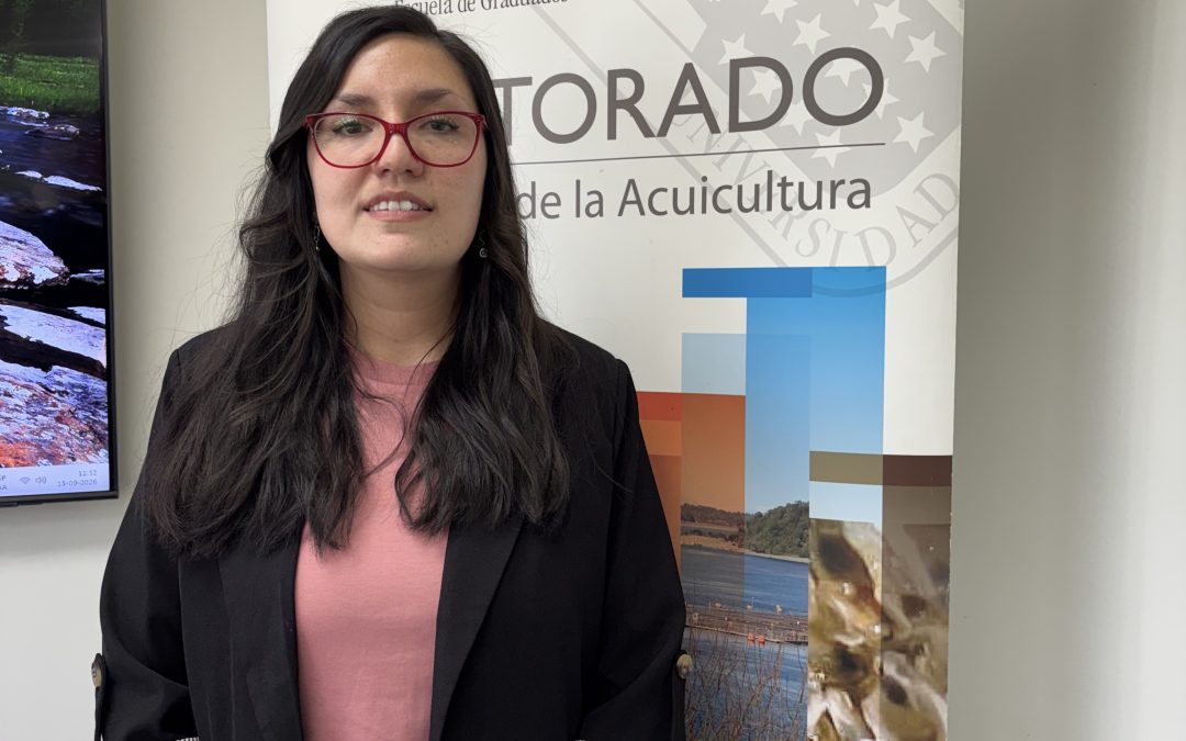 Tesis del doctorado en ciencias de la acuicultura estudia la respuesta del mejillón chileno frente a escenarios de cambio climático