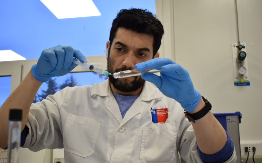 Investigación de postgrado UACh aporta nuevos antecedentes para la gestión del riesgo por toxinas marinas en Aysén