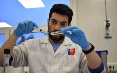 Investigación de postgrado UACh aporta nuevos antecedentes para la gestión del riesgo por toxinas marinas en Aysén