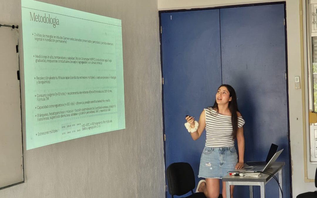 Estudiante de Ingeniería Ambiental UACh realizó pasantía en la Universidad Nacional Autónoma de México