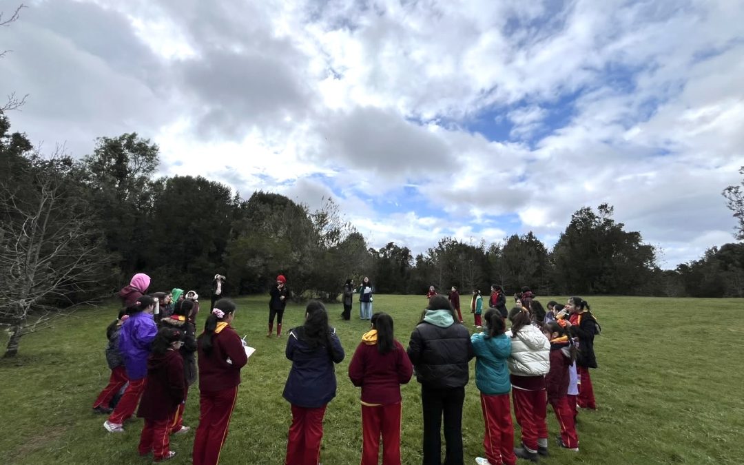 Futuras docentes UACh desarrollan actividad de educación ambiental junto a estudiantes de la Escuela España