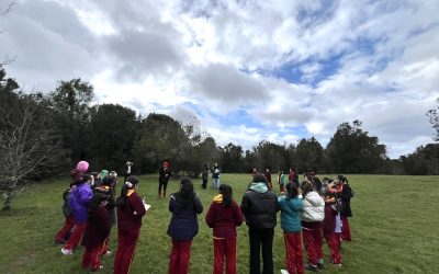 Futuras docentes UACh desarrollan actividad de educación ambiental junto a estudiantes de la Escuela España